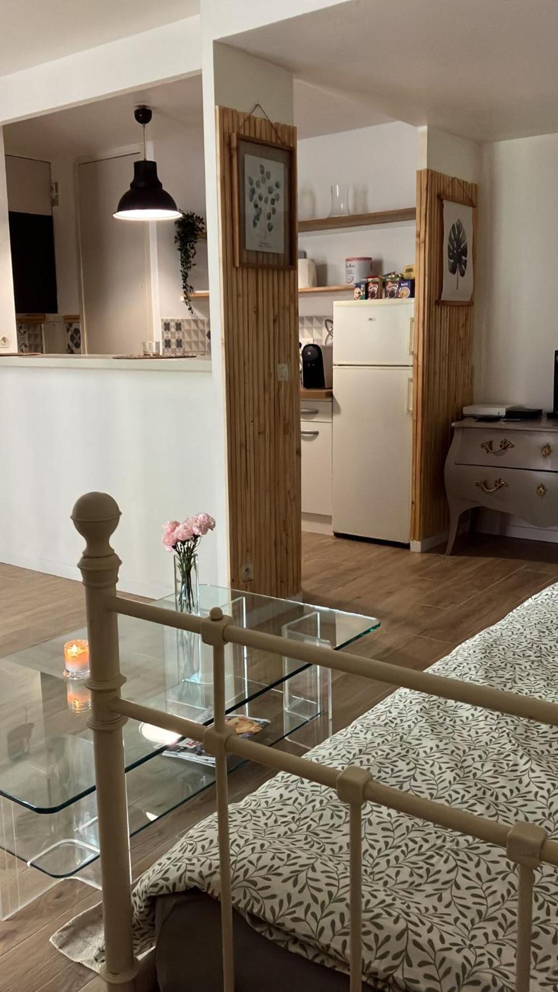 Appartement Sur Et Garage Au Stade De France A 2 Mn De Paris, 20 De Roissy Cdg Et 30 De La Defense Animaux Bienvenus Saint-Denis  Exteriér fotografie